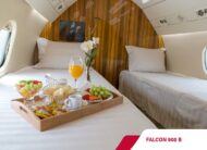 Avião Dassault Falcon 900B – Ano 1987 – 11.500 horas