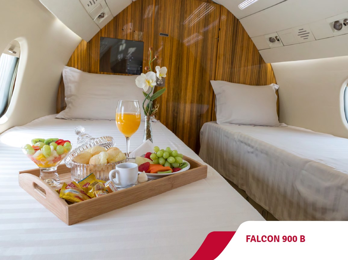 Avião Dassault Falcon 900B – Ano 1987 – 11.500 horas