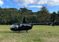 Robinson R44 Raven II – Ano 2006 – 960H.T.