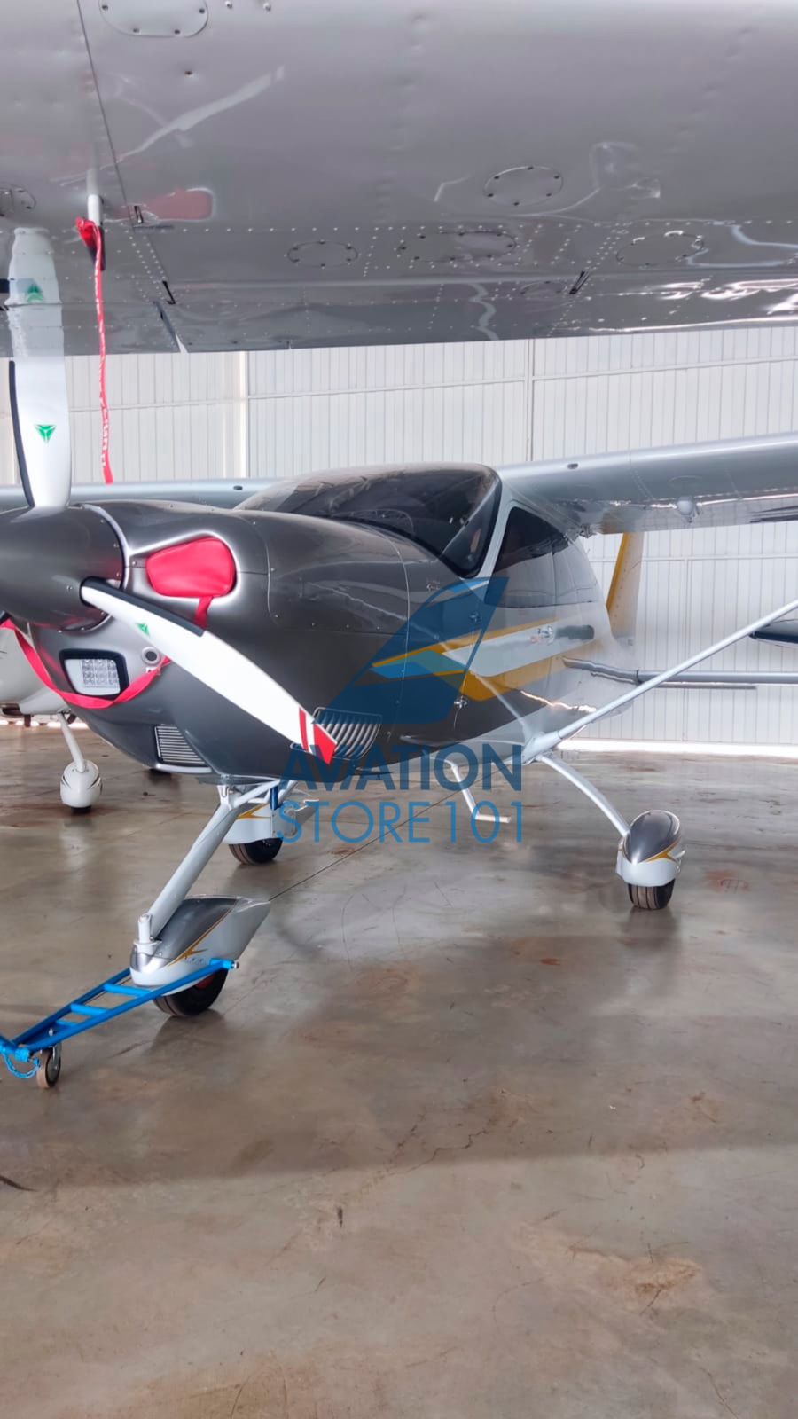 Avião Tecnam P2010 TDI à Venda