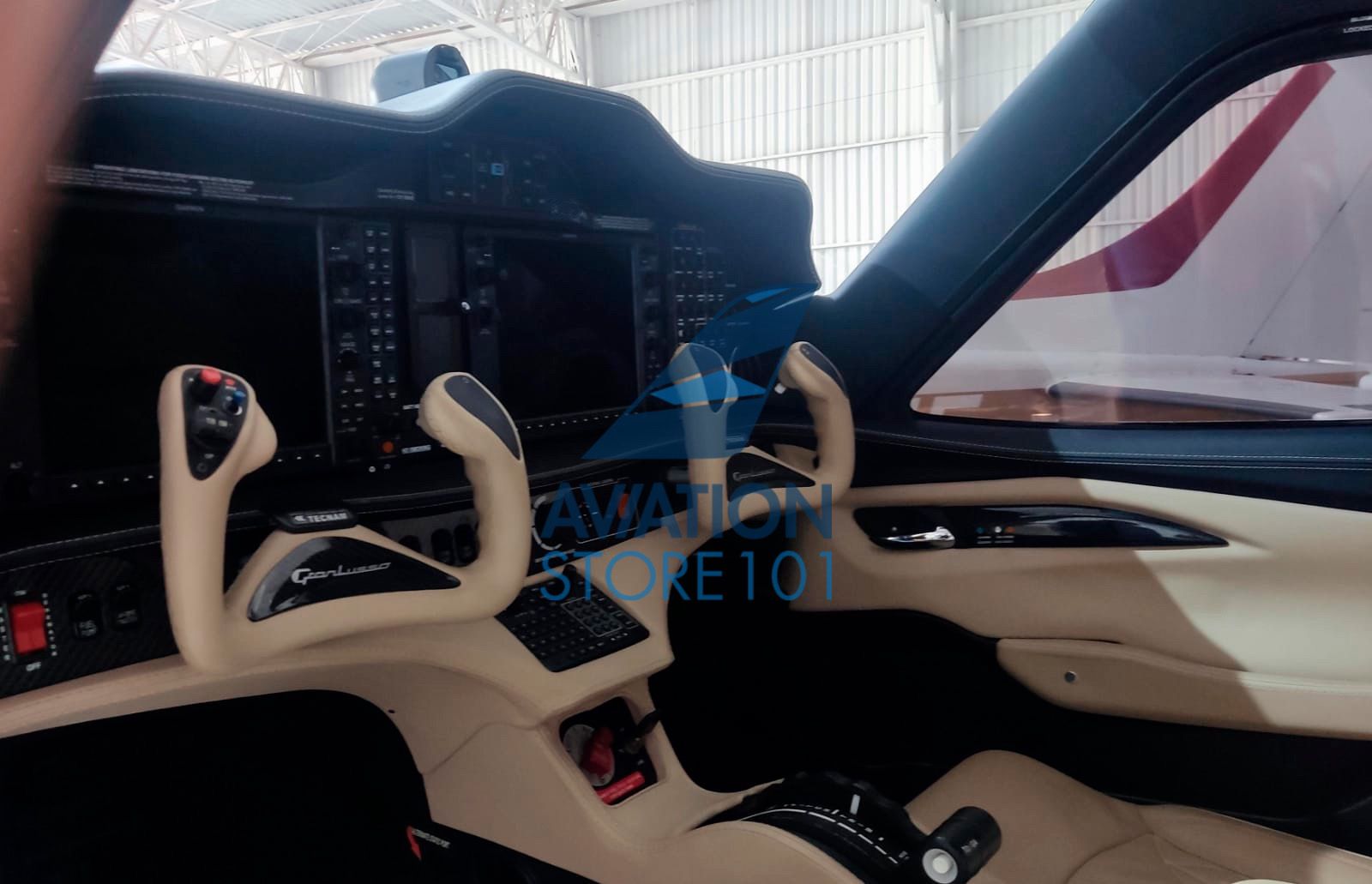 Avião Tecnam P2010 TDI à Venda