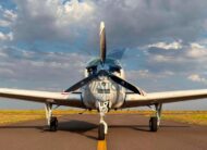 Beechcraft Bonanza A36 – Ano 1989 – 5.380 H.T.