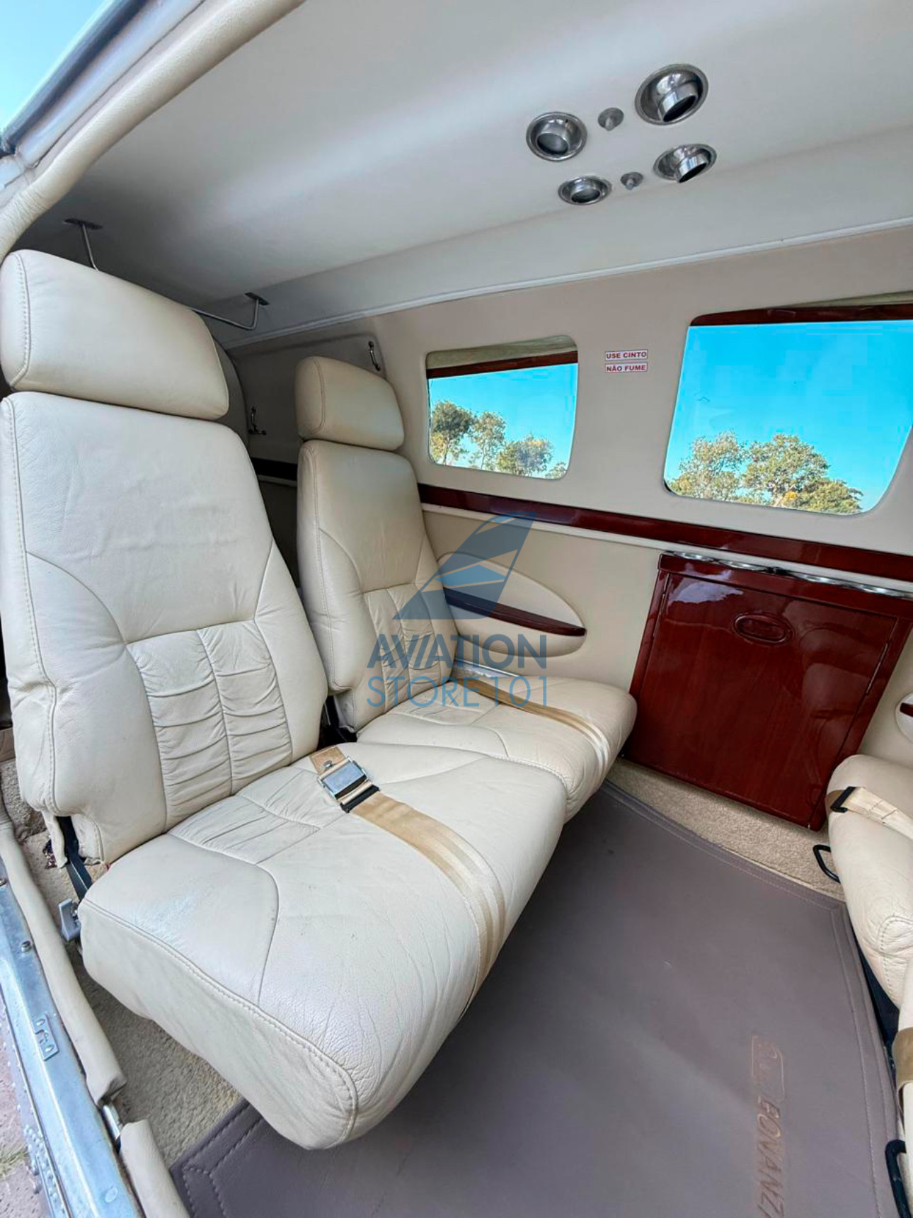 Beechcraft Bonanza B36TC – Ano 1989 à Venda