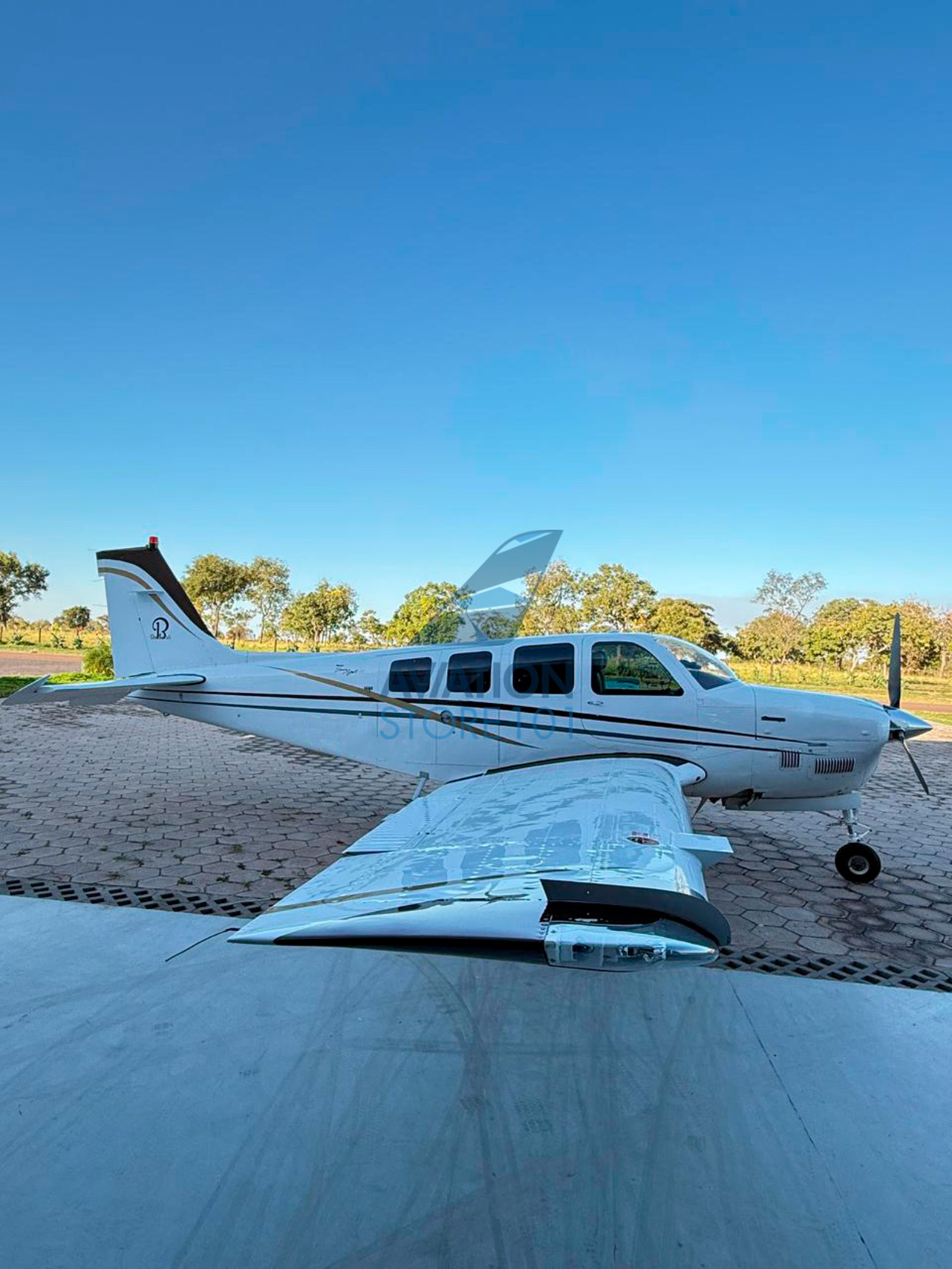 Beechcraft Bonanza B36TC – Ano 1989 à Venda