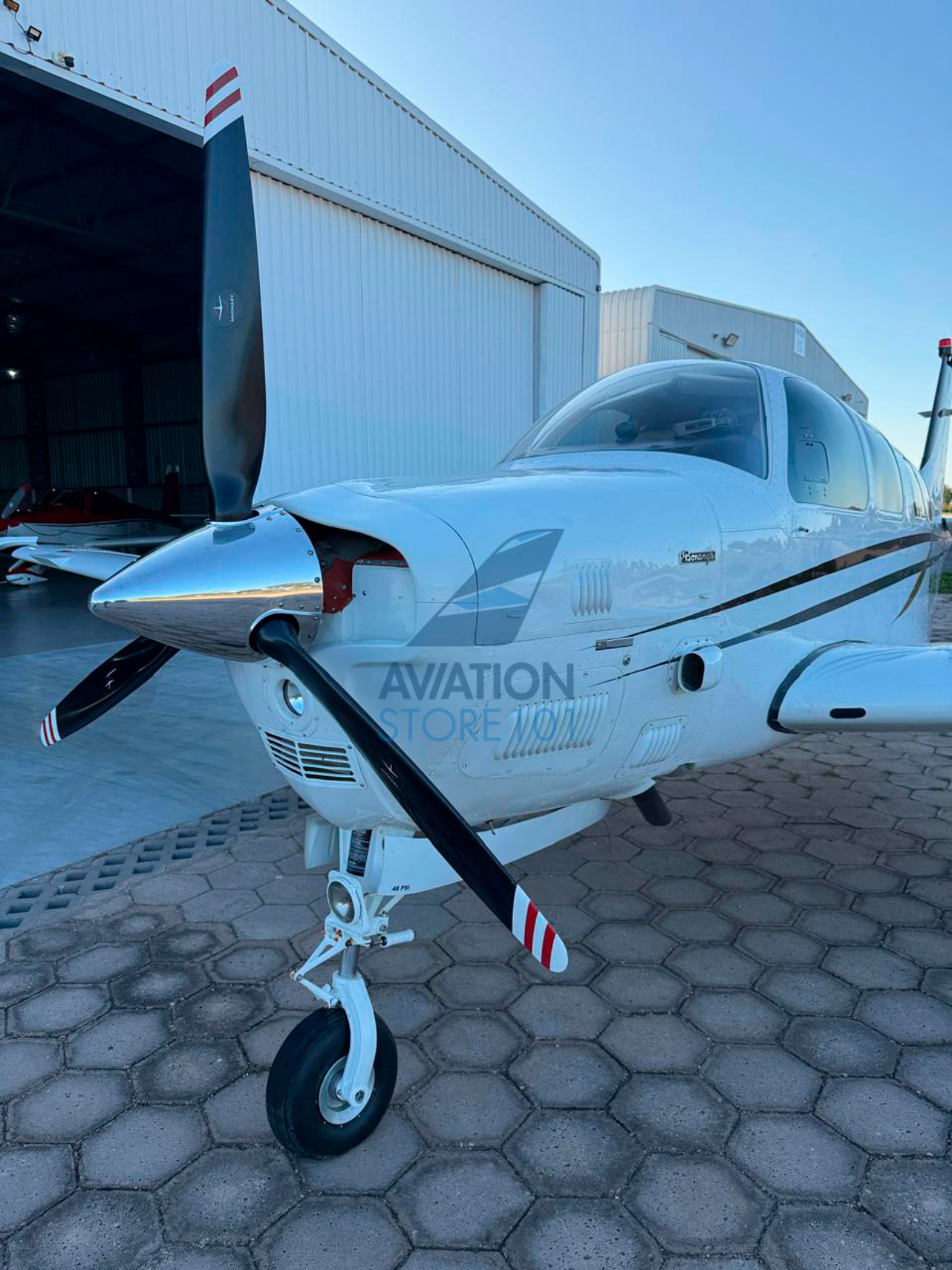 Beechcraft Bonanza B36TC – Ano 1989 à Venda