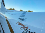 Beechcraft Bonanza B36TC – Ano 1989 à Venda