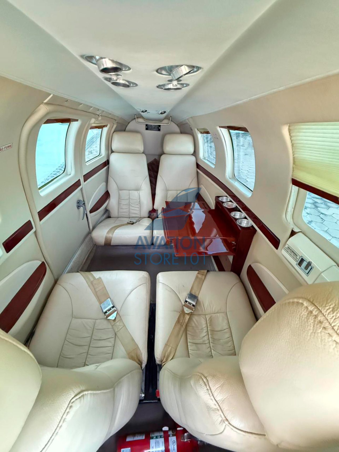 Beechcraft Bonanza B36TC – Ano 1989 à Venda