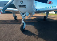 Beechcraft Bonanza A36 – Ano 1983